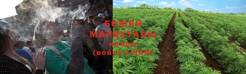 Каннабис SATIVA & INDICA  как найти   Боготол 